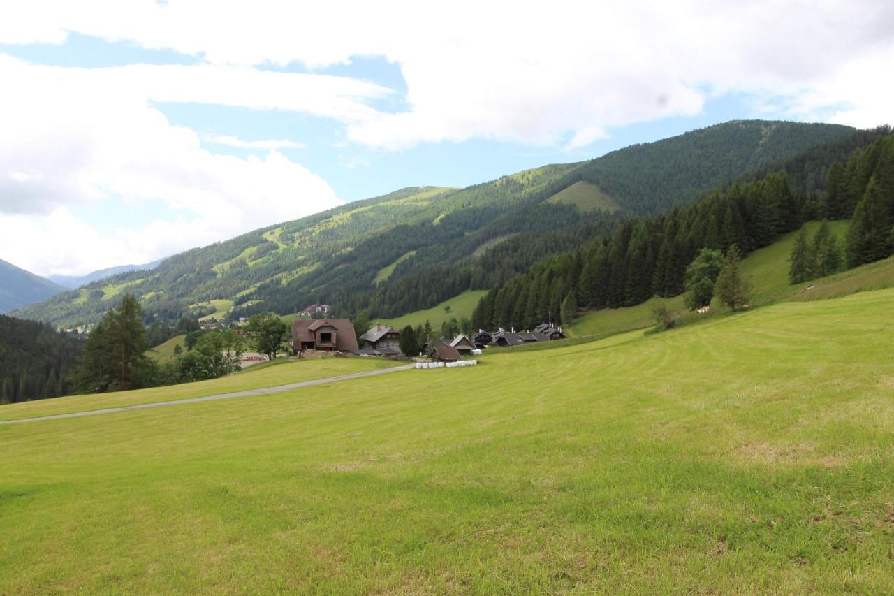 Chalet Mallnock Apartment Bad Kleinkirchheim Ngoại thất bức ảnh